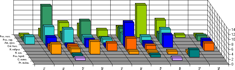 Fangzeitraum von 6. bis 10. Juli