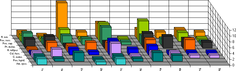 Fangzeitraum von 29. Juli bis 1. August