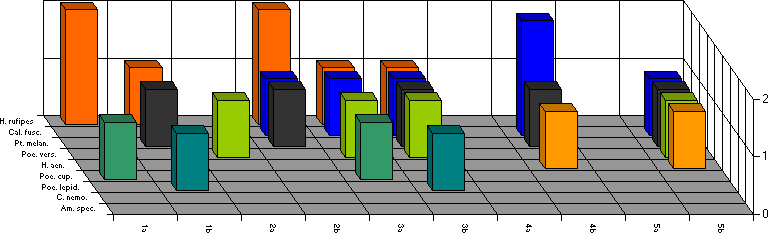 Fangzeitraum von 17. bis 21. August