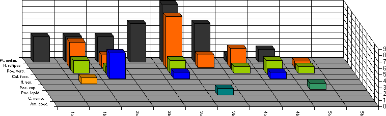 Fangzeitraum von 7. bis 15. September