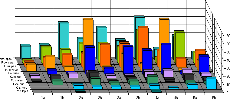 Erstfnge zwischen dem 01.07. und 10.07.