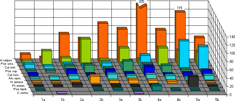 Erstfnge zwischen dem 28.07. und 01.08.