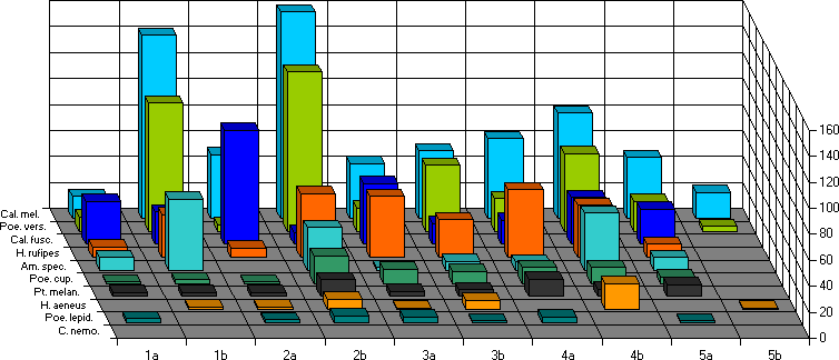 Erstfnge zwischen dem 21.08. und 07.09.